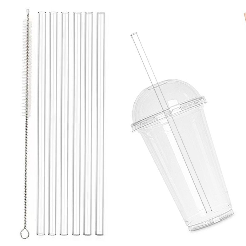 Replacement Tumbler Straws with Brush (6 Pack)